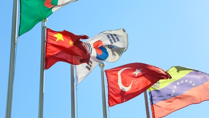 Product image for Flag protocol 