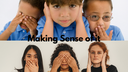 Product image for Making Sense of it 