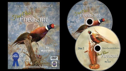 Product image for First Class Pheasant
