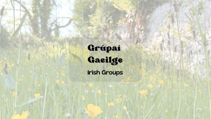 Product image for Group Classes & Workshops on Zoom