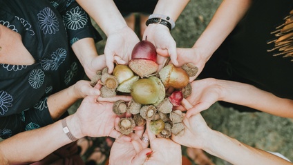 Product image for ACT-the First Step: Planting Seeds