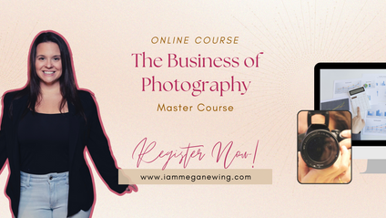 Product image for The Business of Photography Master Course