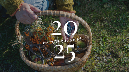 Product image for 2025 Foraging Calendar
