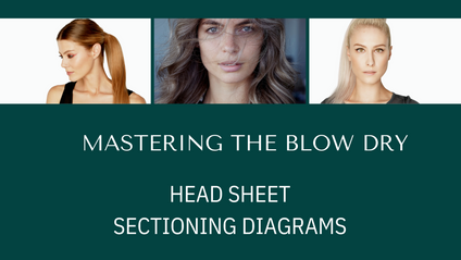 Product image for Blow Dry Sectioning