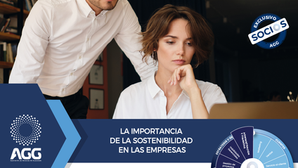 Product image for La importancia de la sostenibilidad en las empresas