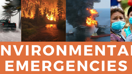 Product image for DSW - Environmental Emergencies