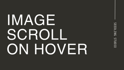 Product image for Scrolling Image on Hover for Showit