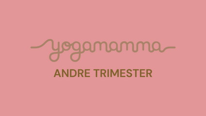 Product image for Yogamamma - Andre trimester