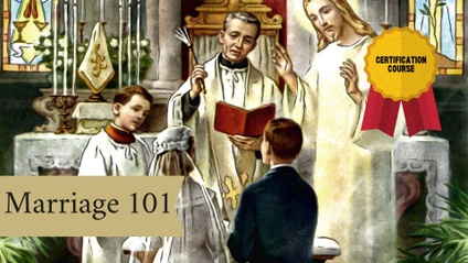 Product image for Marriage 101
