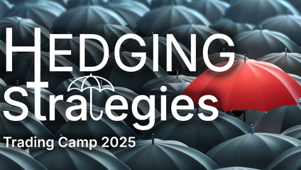 Product image for Hedging Strategies - Strategie di Copertura