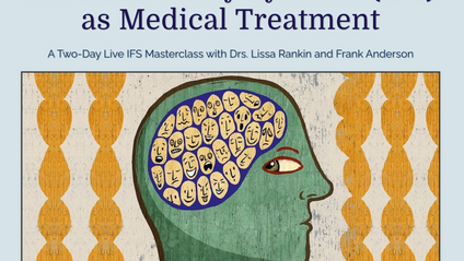 Product image for Internal Family Systems (IFS) as Medical Treatment