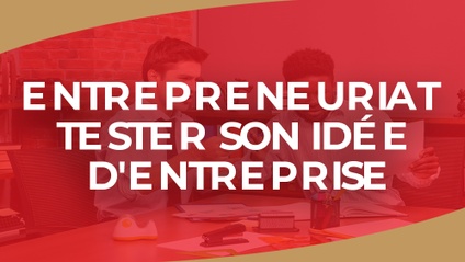 Product image for IGTC01ENT - Entrepreneuriat  Tester son idée d'entreprise (FR)