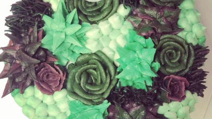 Product image for Succulent Cake