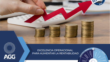 Product image for Excelencia Operacional para Aumentar la Rentabilidad