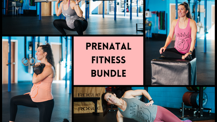 Product image for Prenatal Fitness Program Bundle