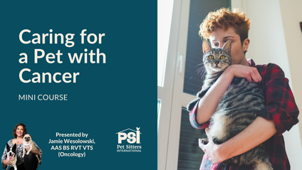 Product image for Mini Course: Caring for a Pet with Cancer