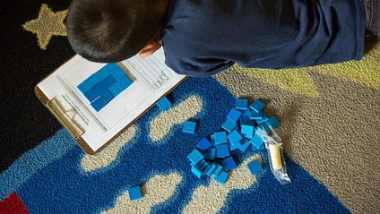 Product image for Dyscalculia