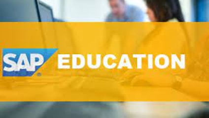 Product image for SAP Materials Management Consultant