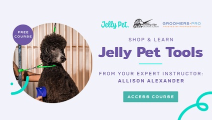 Product image for How to Use... Jelly Pet Tools