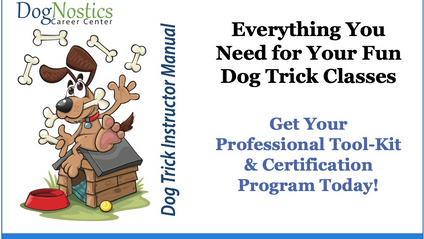 Product image for Dog Trick Instructor Professional Toolkit & Certification Program