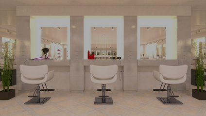 Product image for How to open a Salon 101