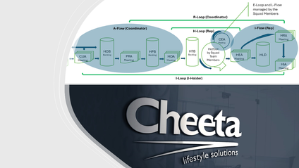 Product image for Cheeta Marketing Framework