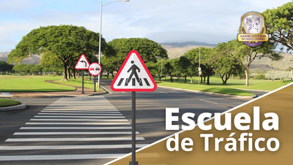 Product image for Escuela de Tráfico