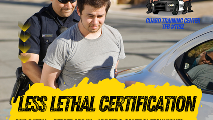 Product image for Less Lethal Certification; BSIS Baton Permit - Defensive Tactics - Pepper Spray - Arrest & Control Techniques - Tactical Flashlight