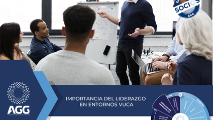 Product image for Importancia del Liderazgo en Entornos VUCA