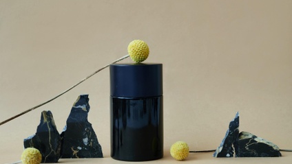 Product image for Narcissism & Sexuality 