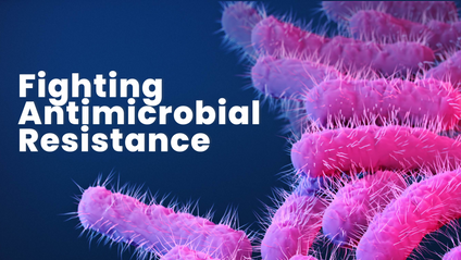 Product image for Fighting Antimicrobial Resistance