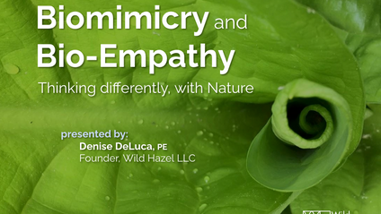 Product image for Biomimicry and BioEmpathy | Thinking differently, with Nature