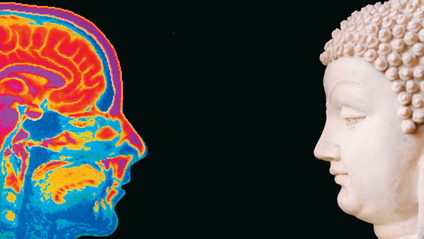 Product image for Neuroscience of Spirituality Micro-Niche Coaching Certificate Course