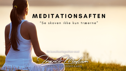 Product image for Meditationsaften: “Se skoven – ikke kun træerne” 