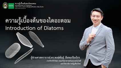 Product image for ความรู้เบื้องต้นของไดอะตอม