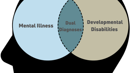 Product image for Supporting Individuals with IDD in the Mental Health System