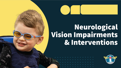 Product image for The Gift of Seeing: Neurological Vision Impairments and Interventions