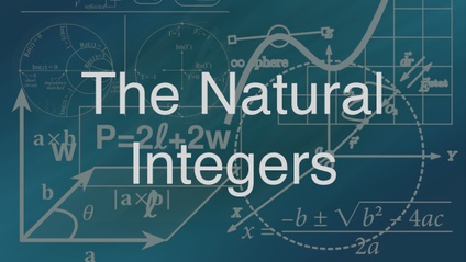 Product image for The Natural Integers