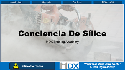 Product image for SILICA AWARENESS - SPANISH