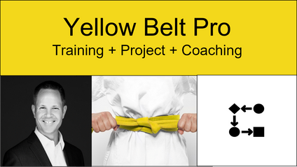 Product image for Yellow Belt Pro