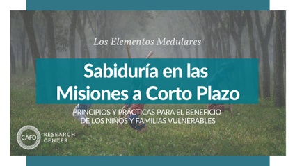 Product image for Sabiduría en las Misiones a Corto Plazo: Principios y Prácticas para el beneficio de los Niños y Familias Vulnerables