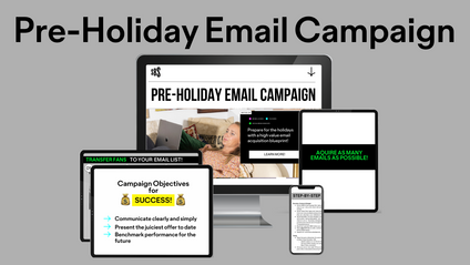 Product image for Pre-Holiday Email Acquisition Campaign Blueprint