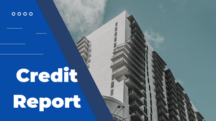 Product image for Credit Report