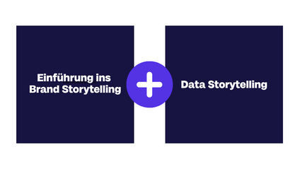 Product image for Bundle: Einführung + Data Storytelling