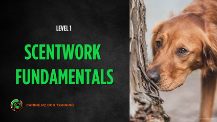 Product image for Scentwork Fundamentals