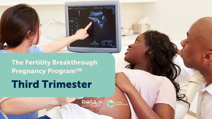 Product image for Fertility Breakthrough™ Pregnancy Program - Third Trimester