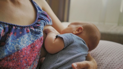 Product image for Lactancia y primeros meses