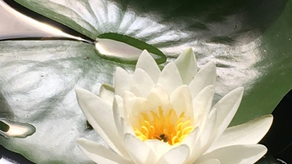 Product image for Six Sounds Therapy Meditation