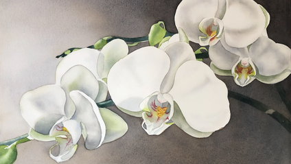Product image for Painting Orchids, 2-Day Workshop Replay
