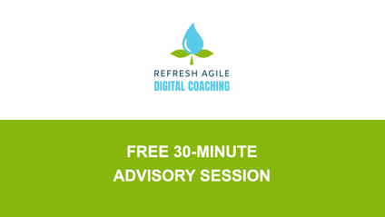 Product image for 30 Minute Advisory Session